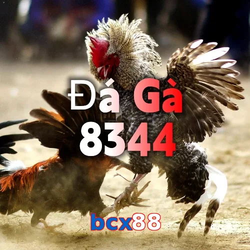 bcx88